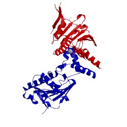 Image of CATH 1tc6