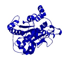 Image of CATH 1tca