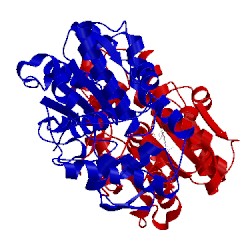 Image of CATH 1tcc