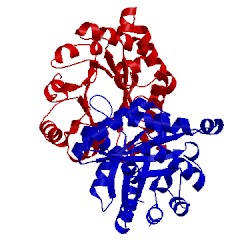 Image of CATH 1tcd