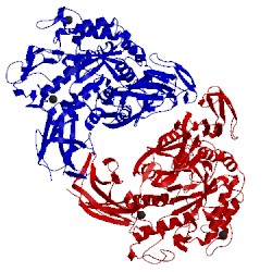 Image of CATH 1tcm