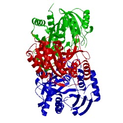 Image of CATH 1tcu