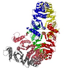 Image of CATH 1td9