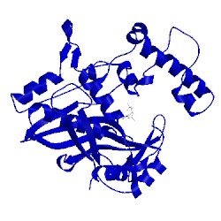 Image of CATH 1tdc