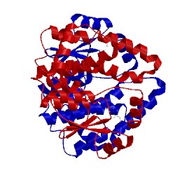 Image of CATH 1tdi