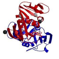 Image of CATH 1tdr