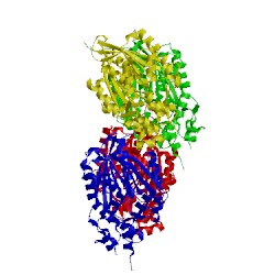 Image of CATH 1tee