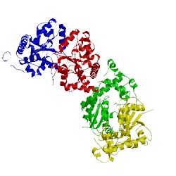 Image of CATH 1tex