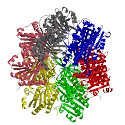 Image of CATH 1tf7