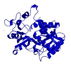 Image of CATH 1tfa