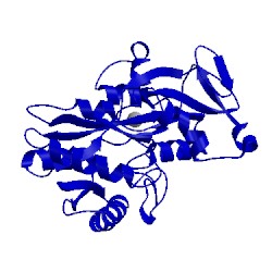 Image of CATH 1tfd