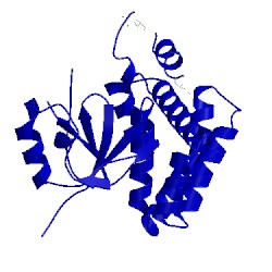 Image of CATH 1tff