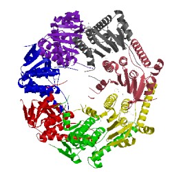 Image of CATH 1tg6