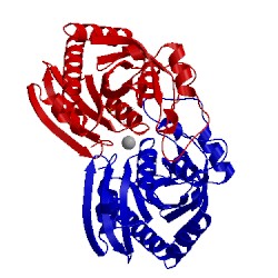 Image of CATH 1tgv