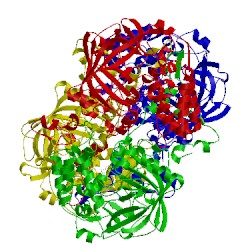 Image of CATH 1th3