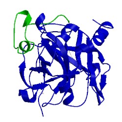 Image of CATH 1ths