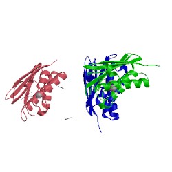 Image of CATH 1til