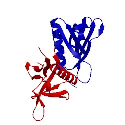 Image of CATH 1tj6