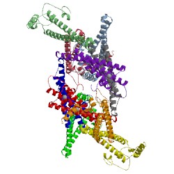 Image of CATH 1tjl