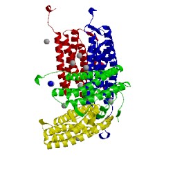 Image of CATH 1tjo