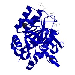 Image of CATH 1tk2