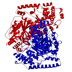 Image of CATH 1tka