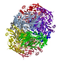 Image of CATH 1tkk