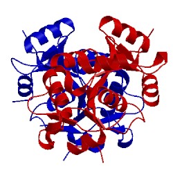 Image of CATH 1tks