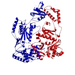 Image of CATH 1tl1