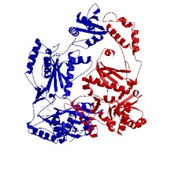 Image of CATH 1tl3