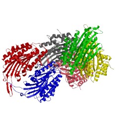 Image of CATH 1tlb