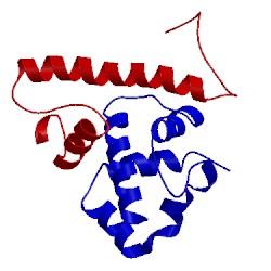 Image of CATH 1tlh