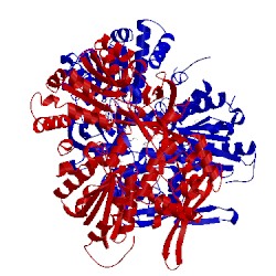 Image of CATH 1tll