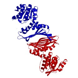 Image of CATH 1tlt