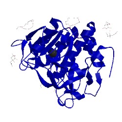 Image of CATH 1tmg