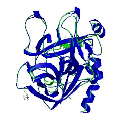 Image of CATH 1tmu