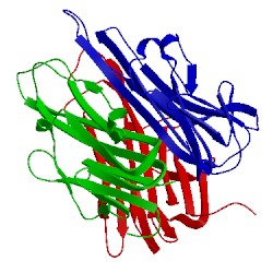 Image of CATH 1tnf