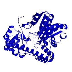 Image of CATH 1toj