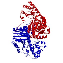 Image of CATH 1tok