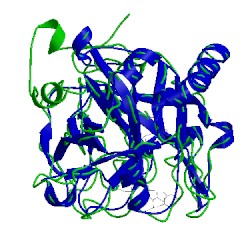 Image of CATH 1tom