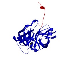 Image of CATH 1tpa