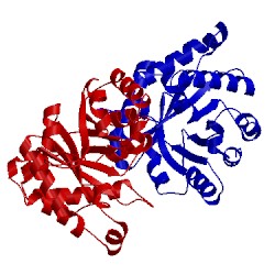 Image of CATH 1tpd