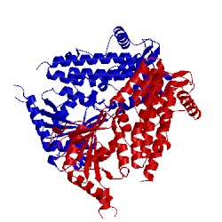 Image of CATH 1tqd