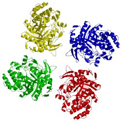 Image of CATH 1tr1