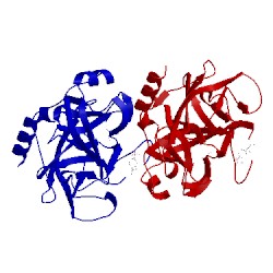 Image of CATH 1trn