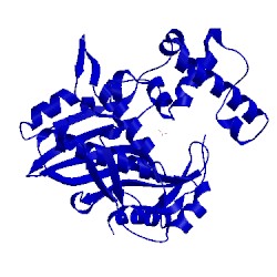 Image of CATH 1tsw