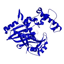 Image of CATH 1tsx