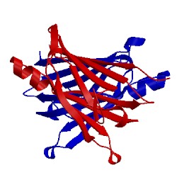 Image of CATH 1ttc