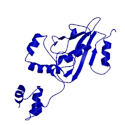 Image of CATH 1tte