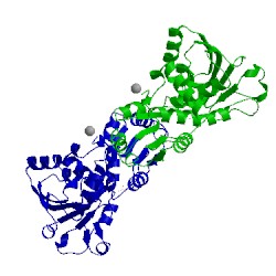 Image of CATH 1tth